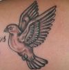 flying dove pic tattoos