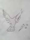 Free tattoo design of dove