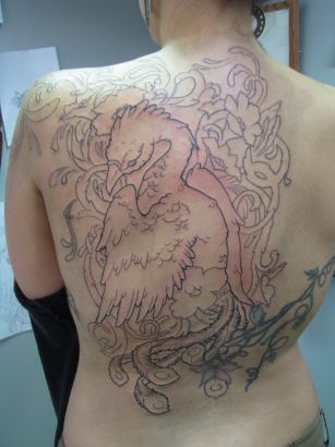 Bird Pics Tattoo On Back