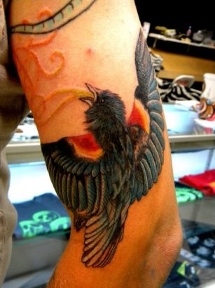 Bird Pics Tattoos On Arm