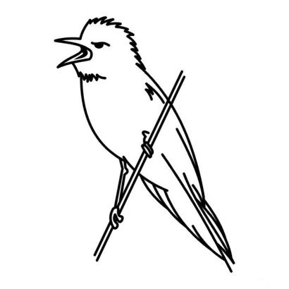 Bird Tattoo Black N White