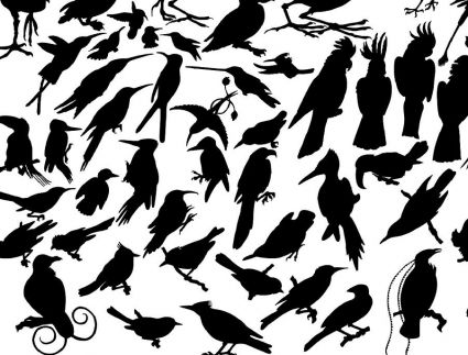 Flock Birds Pic Tattoo
