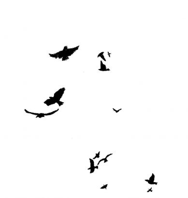 Flock Of Birds Pic Tattoo