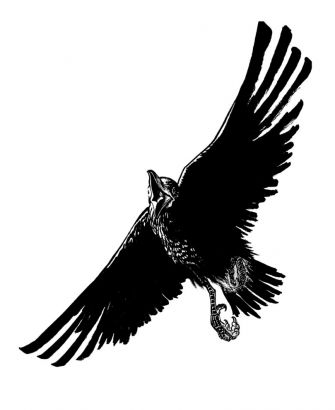 Flying Free Crow Pic Tattoo