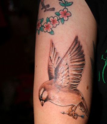 Sparrow With Arrow Pic Tattoo