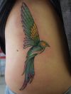 bird pics tattoo on side rib