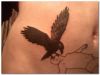 bird sit on head of dead body tattoo on stomach