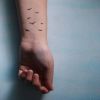 birds pic tattoo on wrist