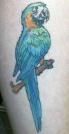Bird tattoo design on leg