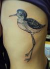 small bird pic tattoo on rib