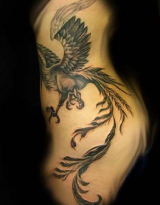 Chinese Phoenix Pic Tattoo On Rib