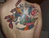 chinese phoenix pic tattoo on back
