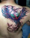 colorful phoenix tattoo on right shoulder blade