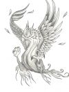 free phoenix pic tattoo