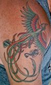 phoenix and scorpio pic tattoo on arm