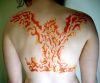 phoenix back image tattoo