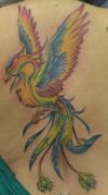 phoenix images tattoo on back