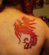 phoenix pic of tattoos for back