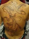 phoenix pic tattoos on back of man