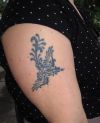 phoenix pics of tattoo on arm