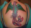 phoenix pics of tattoo on back