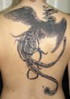 phoenix pics of tattoos on back