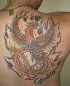 phoenix pictures tattoo for back