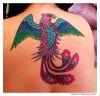 Phoenix tattoos on back