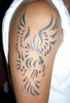 phoenix tribal pics of tattoo on arm