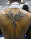 tribal phoenix image of tattoo for man