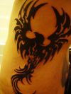 tribal phoenix images tattoo on rib