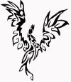 tribal phoenix pics of tattoos