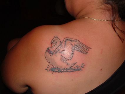 Swan Tattoo On Left Shoulder Blade