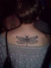 chinese dragonfly tattoo