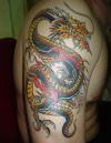 dragon pics tattoo on arm