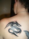 tribal dragon left shoulder tattoo of girl