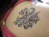 tribal dragon pic tattoos for girl