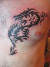 tribal dragon pics tattoo on chest