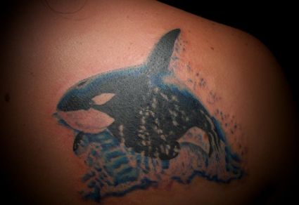 Dolphin Tattoos Picture Design