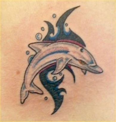 Dolphin With Tribal Tattoo 