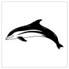 dolphin tattoo in black