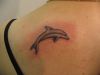 Dolphin tattoo picture