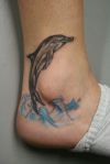 dolphin tats pics on ankle