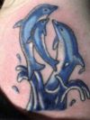 dolphin pic tattoo