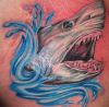 shark pics of tattoo