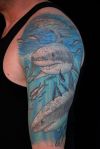 man's arm tats of shark