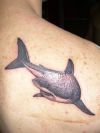 Shark tattoos picture