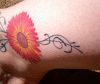 red daisy pic tattoo