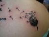 dandelion flower shoulder tattoo