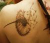 dandelion flower tattoos on left shoulder blade